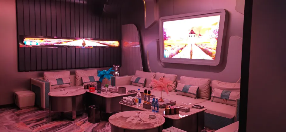南宁罗曼达商务KTV，那张沙发靠背腰部凸起的位置刚好填满了你腰椎下面悬空的那一小段生理弧度